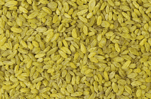 Raisin Green Afghani Seedless