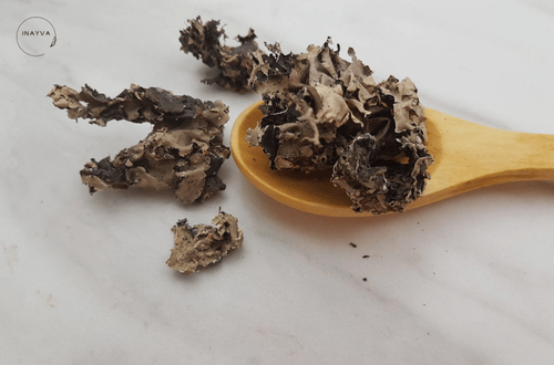 Stone Flower(Kalpasi)