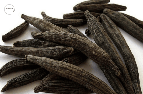 Kapok Buds(Marathi Moggu)